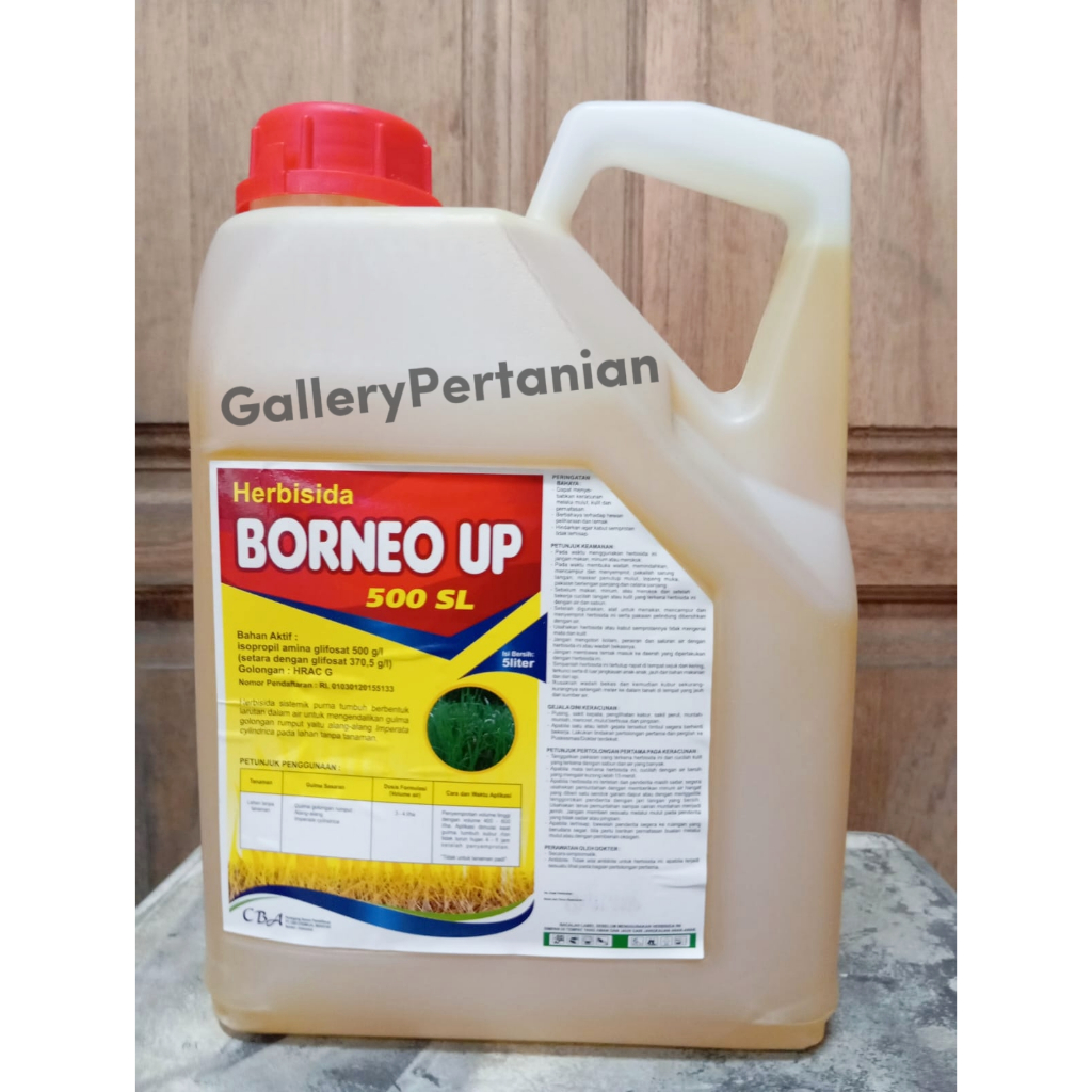 RACUN RUMPUT BORNEO UP 500SL 5L