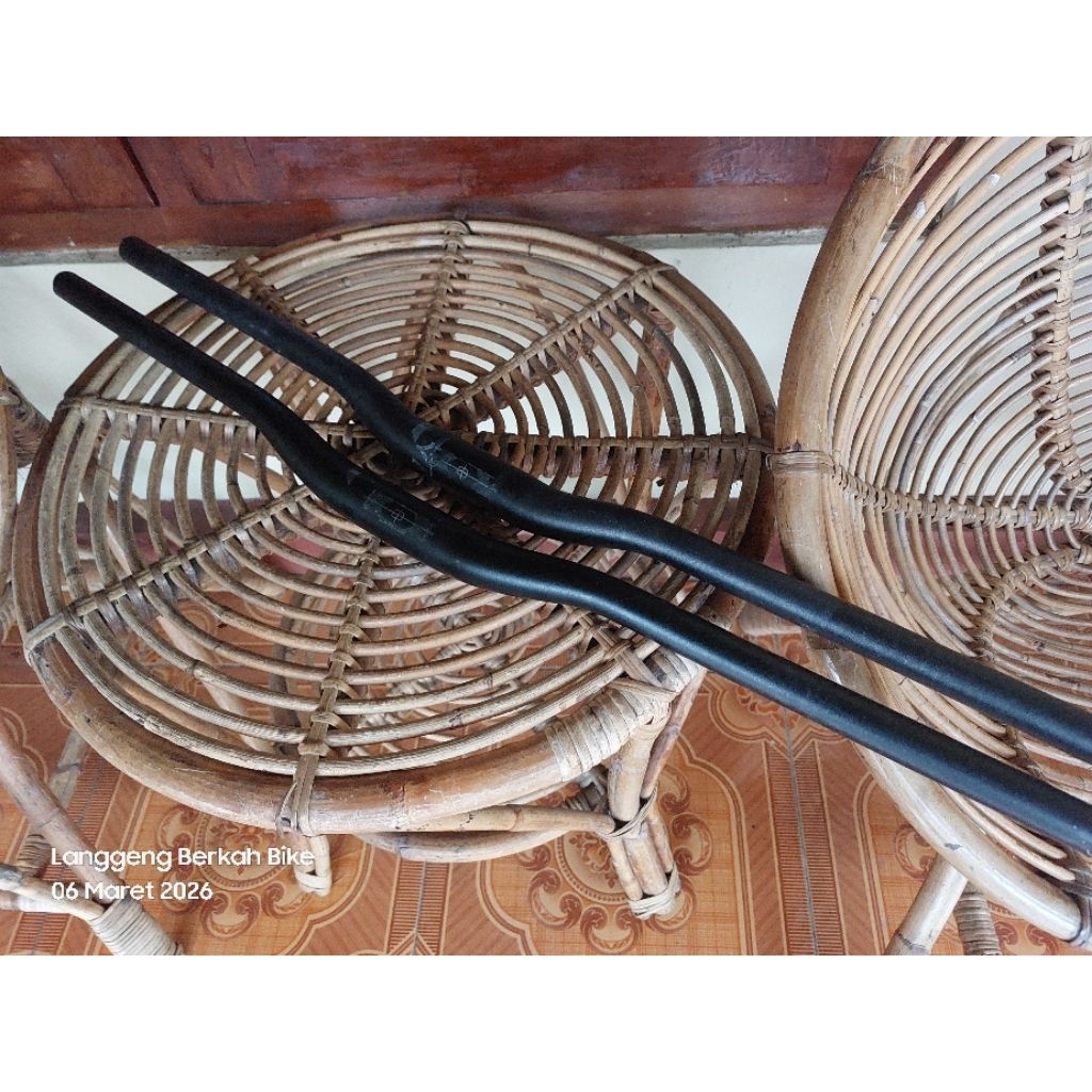 Stang entity sport original polygon