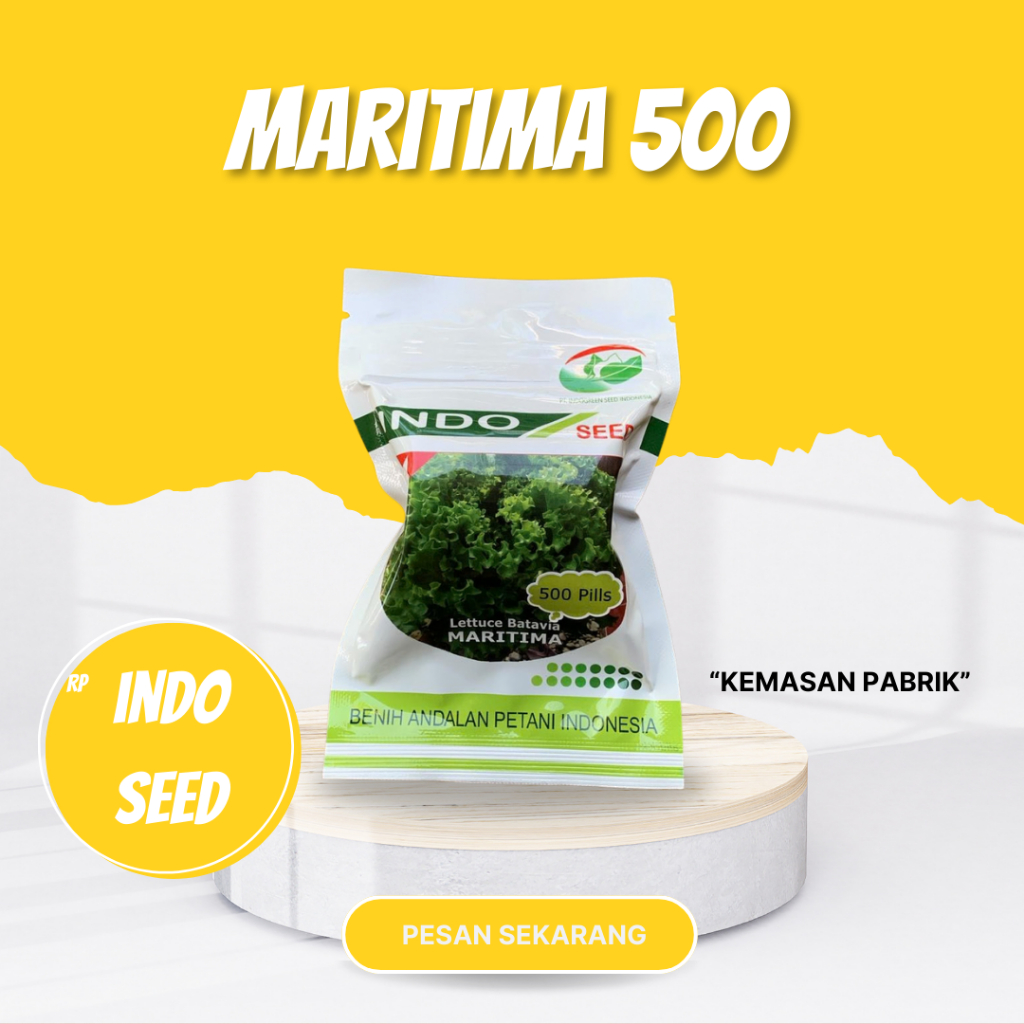 Maritima Benih selada batavia indo seed 500 pils
