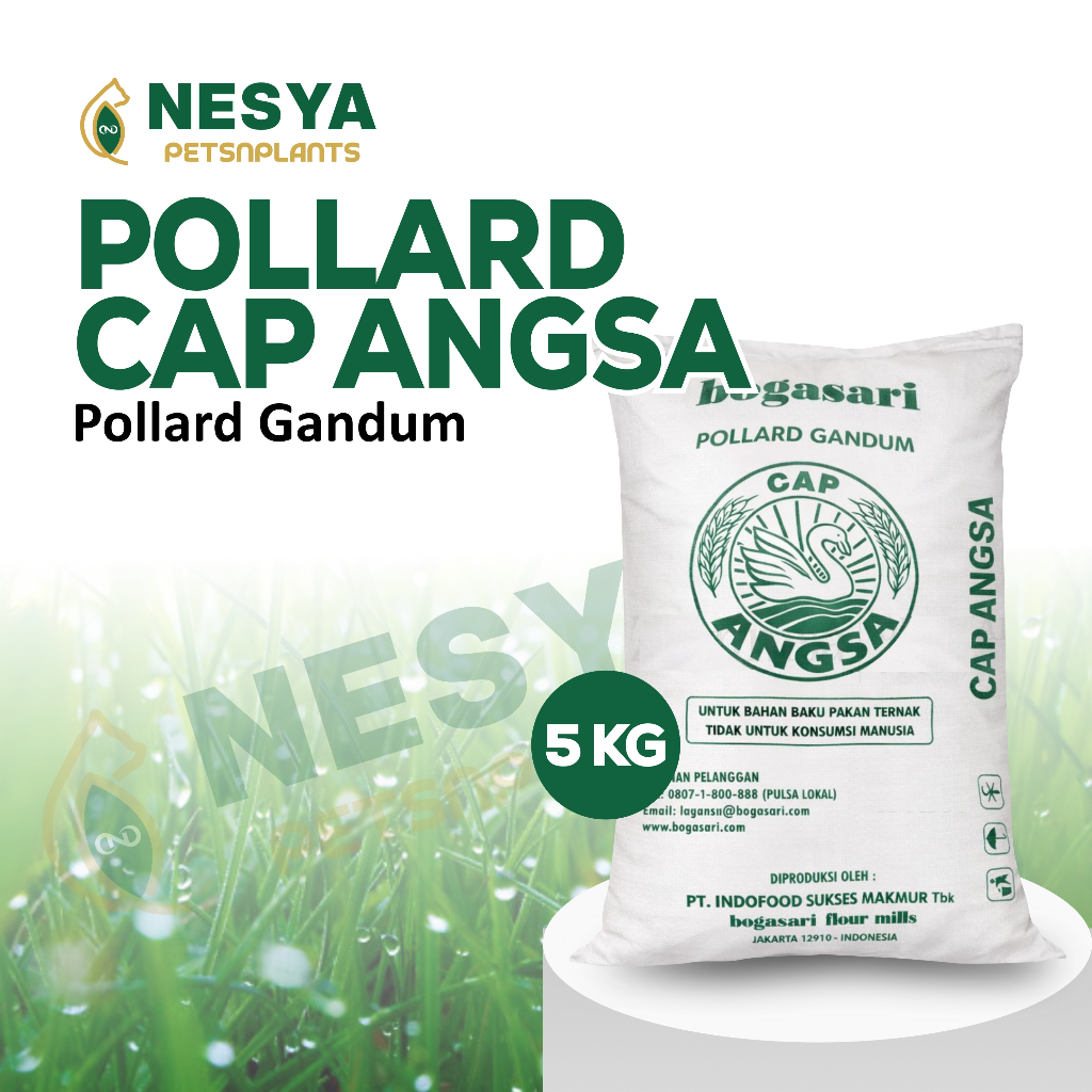Pollard 5 kg Cap Angsa Bogasari Kemasan 5 kg Polar Makanan Ternak Pakan Ternak