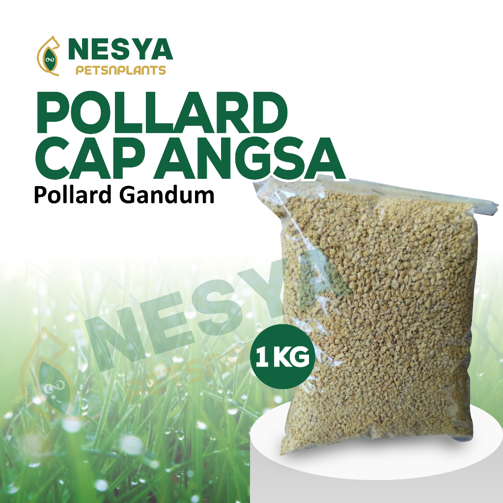Pollard Cap Angsa Bogasari 1kg Polar Makanan Ternak Pakan Ternak