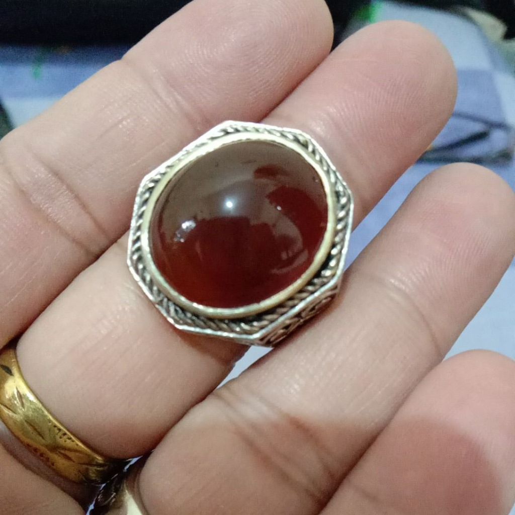 Raflesia Merah Bengkulu