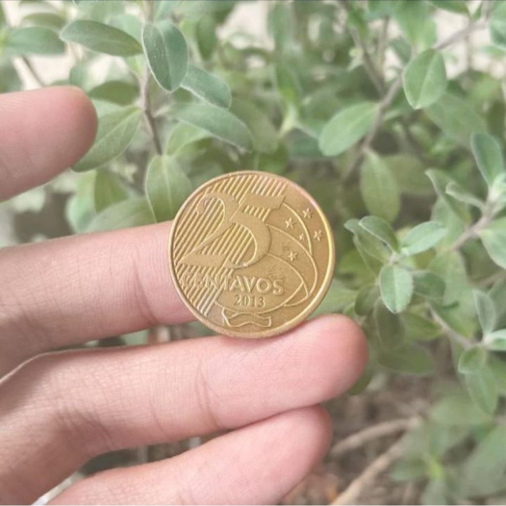 Koin Brasil 10-25-50 Centavos Brazil Souvenir Mahar Koleksi Uang Logam Coin lama kuno Jadul Asing Lu