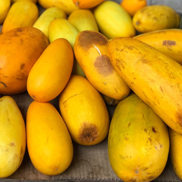 Timun suri perbuah / Buah timun suri segar