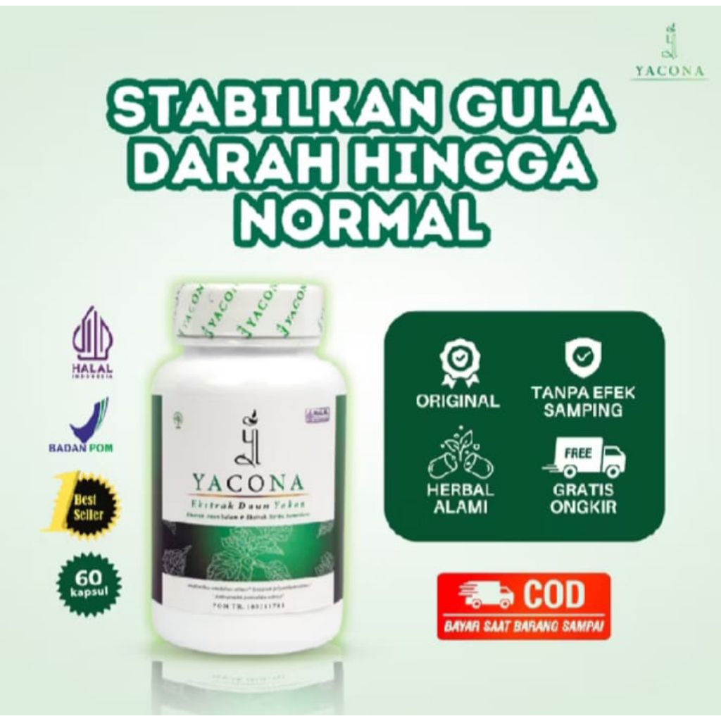 Yacona asli original isi 60 kapsul ampuh stabilkan gula darah