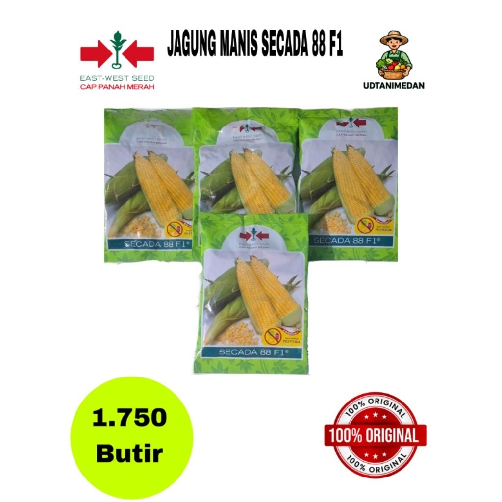 4 Bungkus Bibit/Benih Jagung Manis Secada 88 F1 isi 1.750 butir