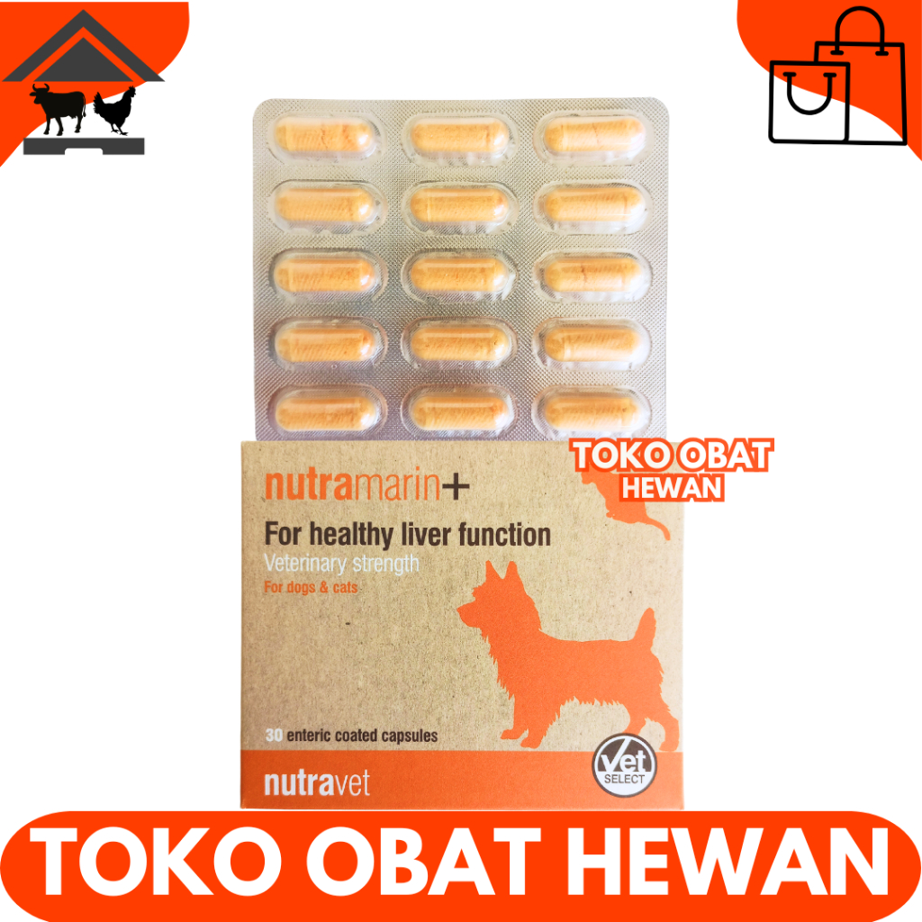 NUTRAMARIN PLUS 15 KAPSUL 1 BLISTER - Obat Gangguan Liver Kucing Anjing Dukung Fungsi Hati Maksimal