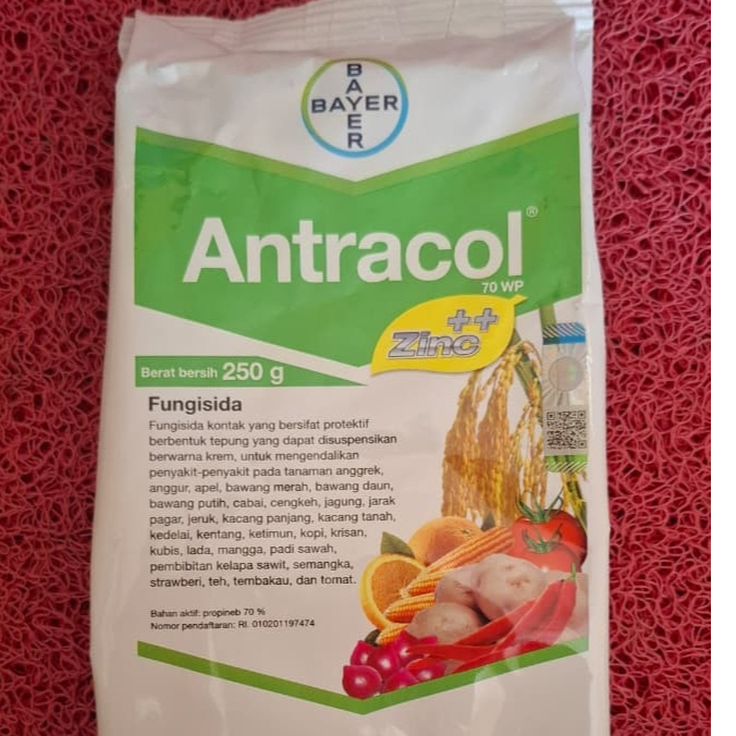 FUNGISIDA ANTRACOL 250 GRAM