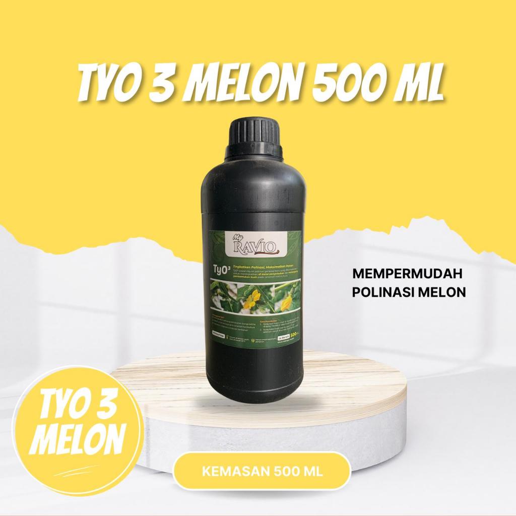 Polinasi melon / serum polinasi buah melon / tyo 3 Ravio