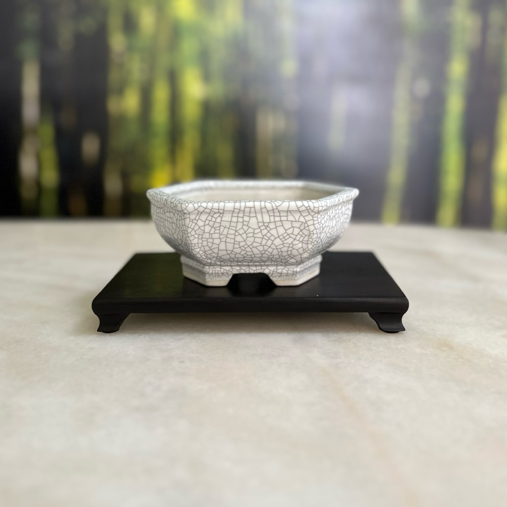 Yixing Zisha Hexagon Bonsai/Succulent Ice Cracked Pot