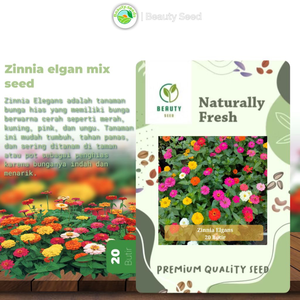 20 Biji Benih Bunga Zinnia Elgan Mix Collor - Zinnia Elgan