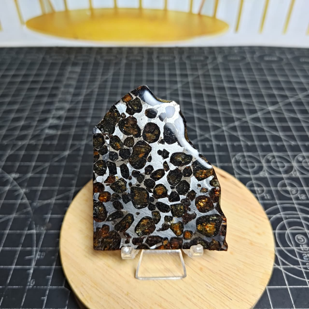 Natural Pallasite kenya Sericho Olive Meteorite Slab / Slice (2)