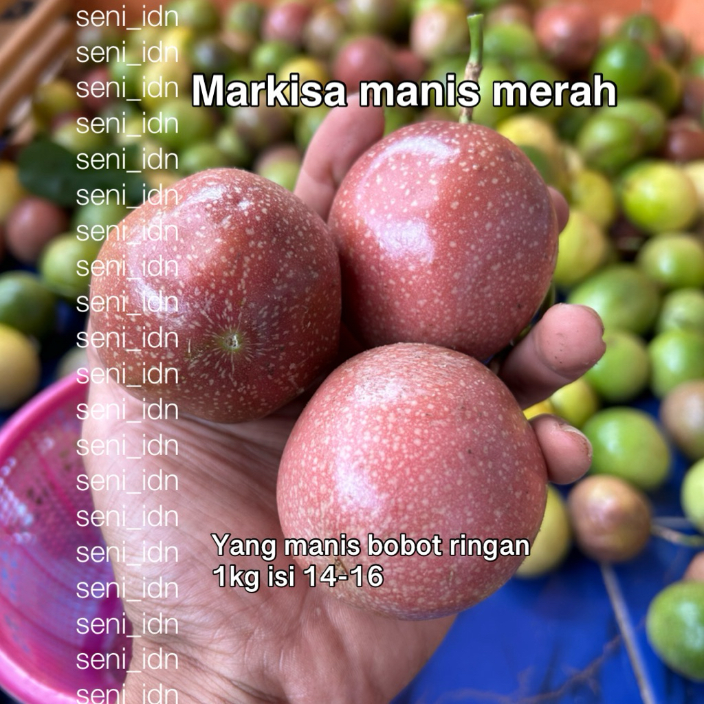 Buah markisa manis merah / markisa manis hijau segar