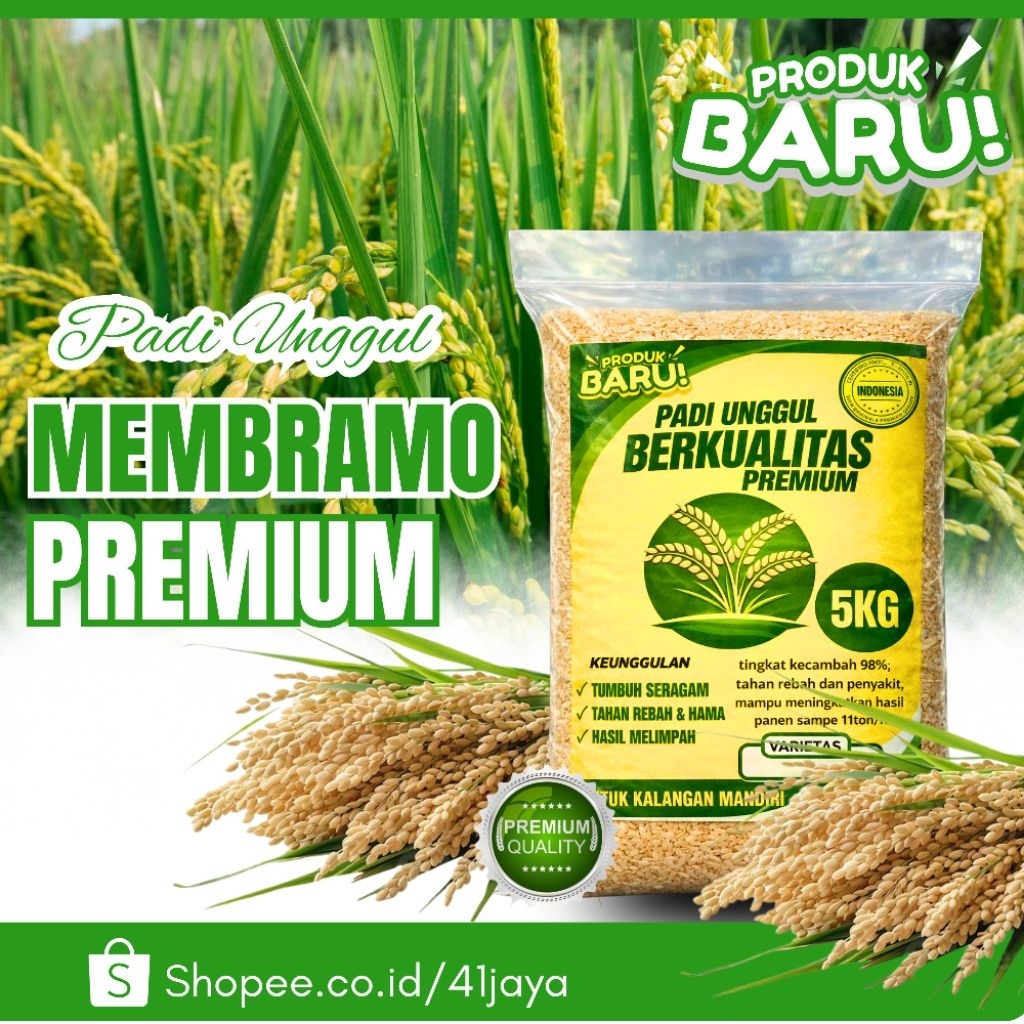 Benih padi unggul MEMBRAMO original 5kg