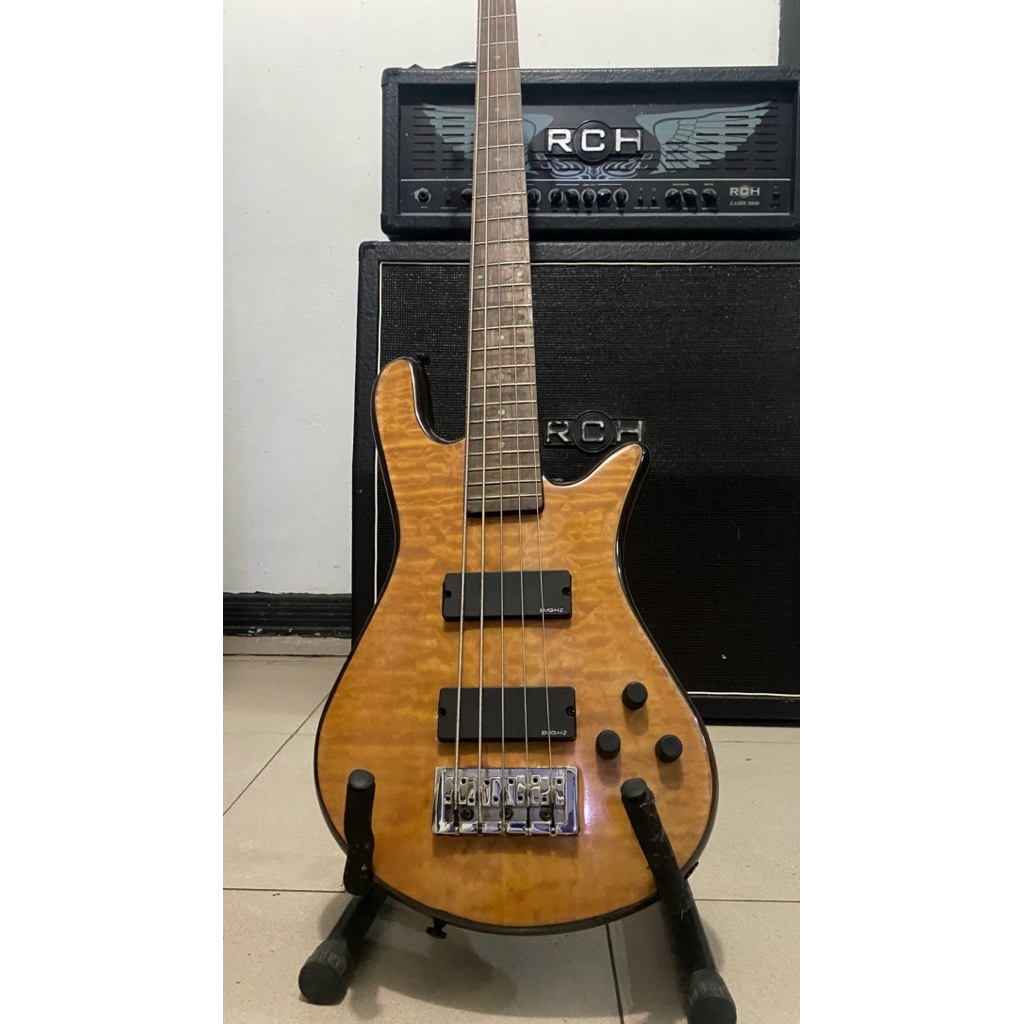 bass spector legend 5 strings
