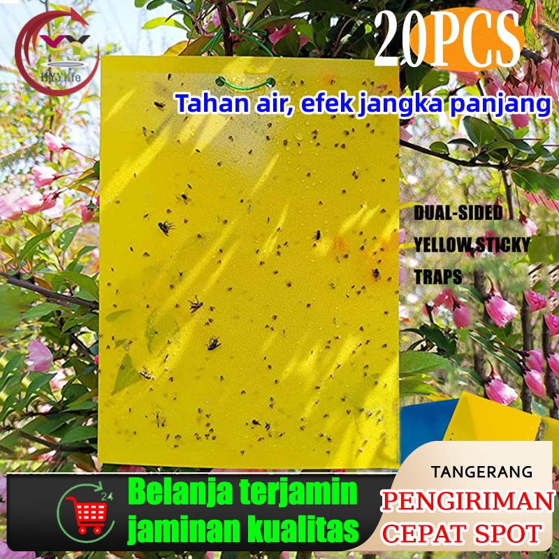 10 pcs perangkap lalat buah (Yellow Trap Likat Kuning)20cm x 25cm