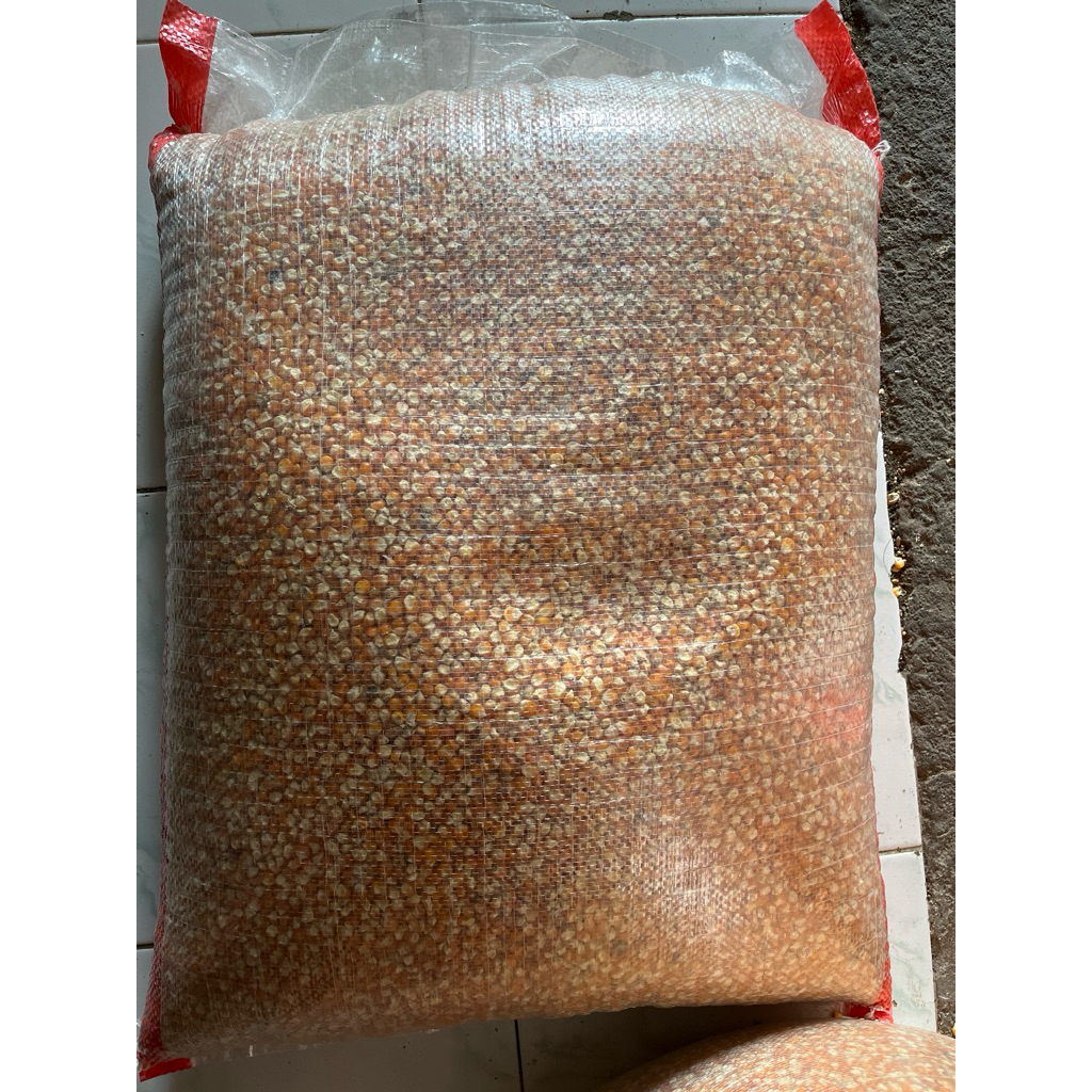 Jagung Madura Kemasan 25kg Pakan Ayam Burung
