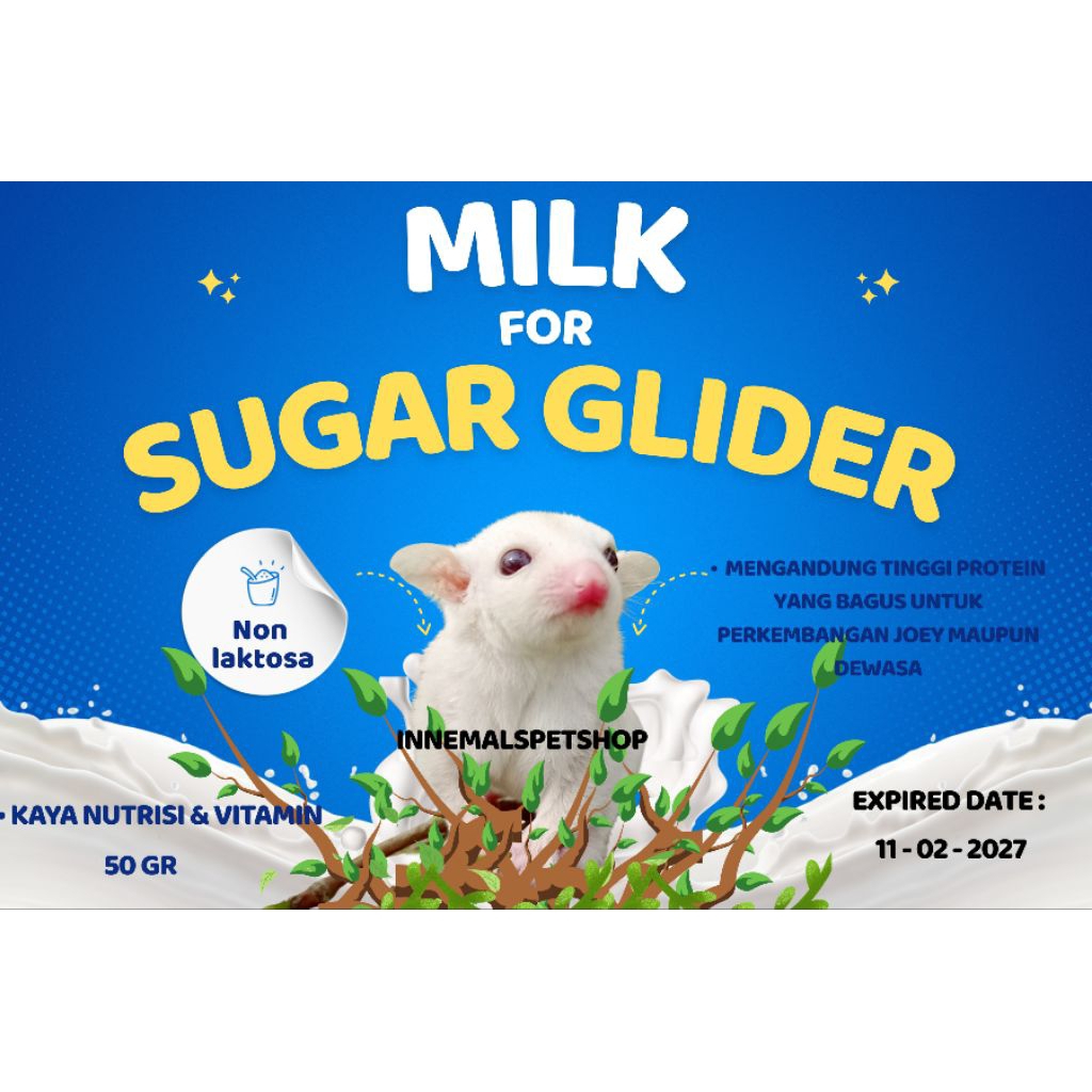susu milk sugar glider joey edult sugarglider 50gr