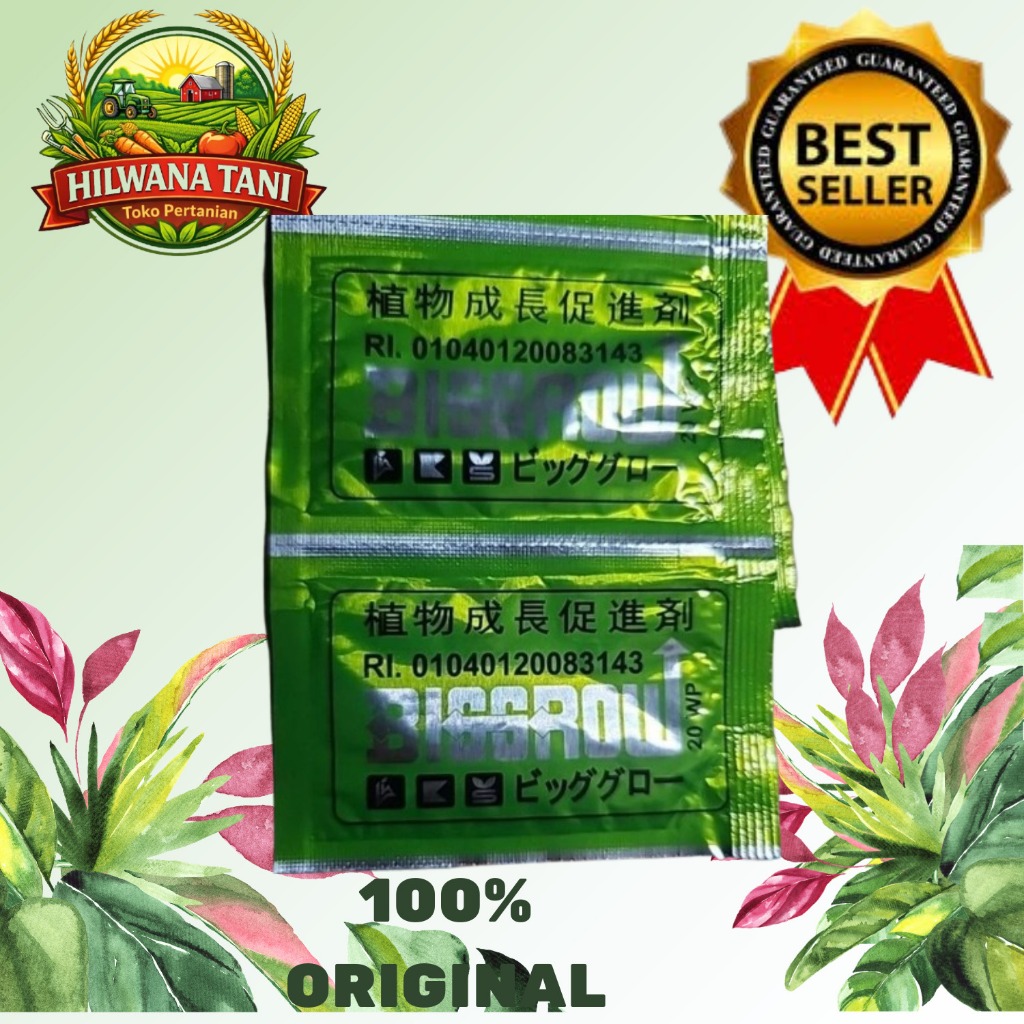 Big Grow 5 gr ZPT Pembesar Buah