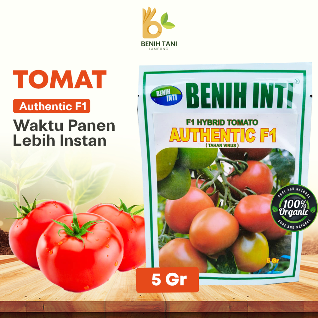 BENIH TOMAT F1 5Gr HYBRID TOMATO AUTHENTIC F1 BENIH INTI (TAHAN VIRUS)