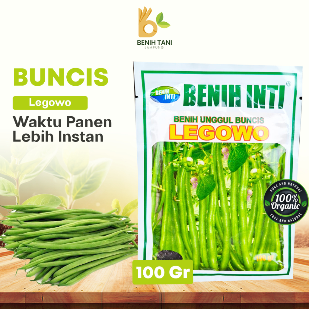 Benih Bibit Buncis Legowo 100Gr/500Gr Benih Inti