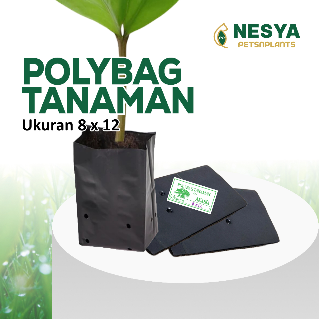Polibag Polybag Hitam Ukuran 8x12 Kuat Awet Tahan Lama Plastik Polibag Wadah Tanaman