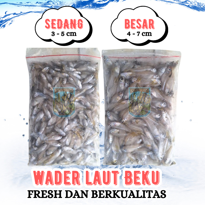Ikan Wader Laut Beku Wader Laut Fresh 500gr