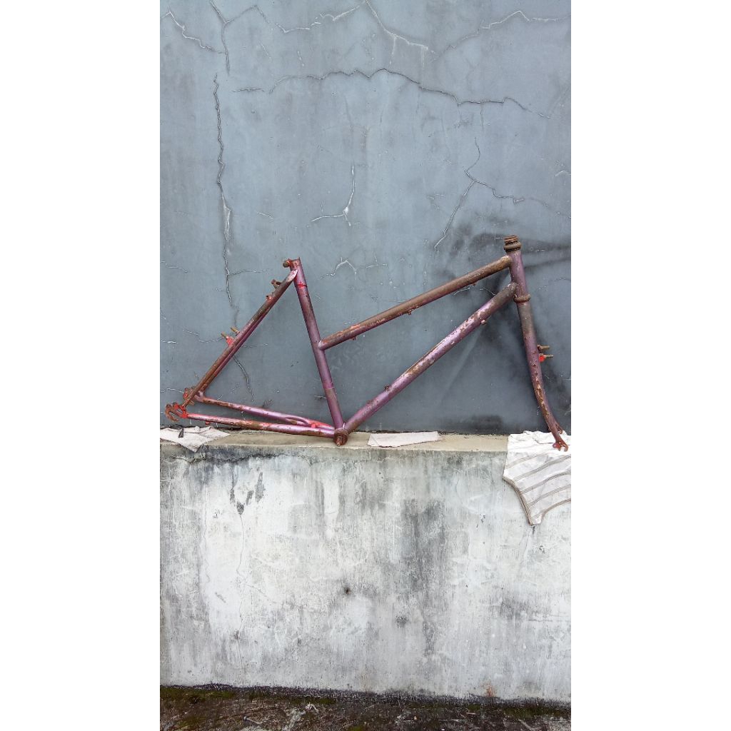 frame federal lady Wildcat ss