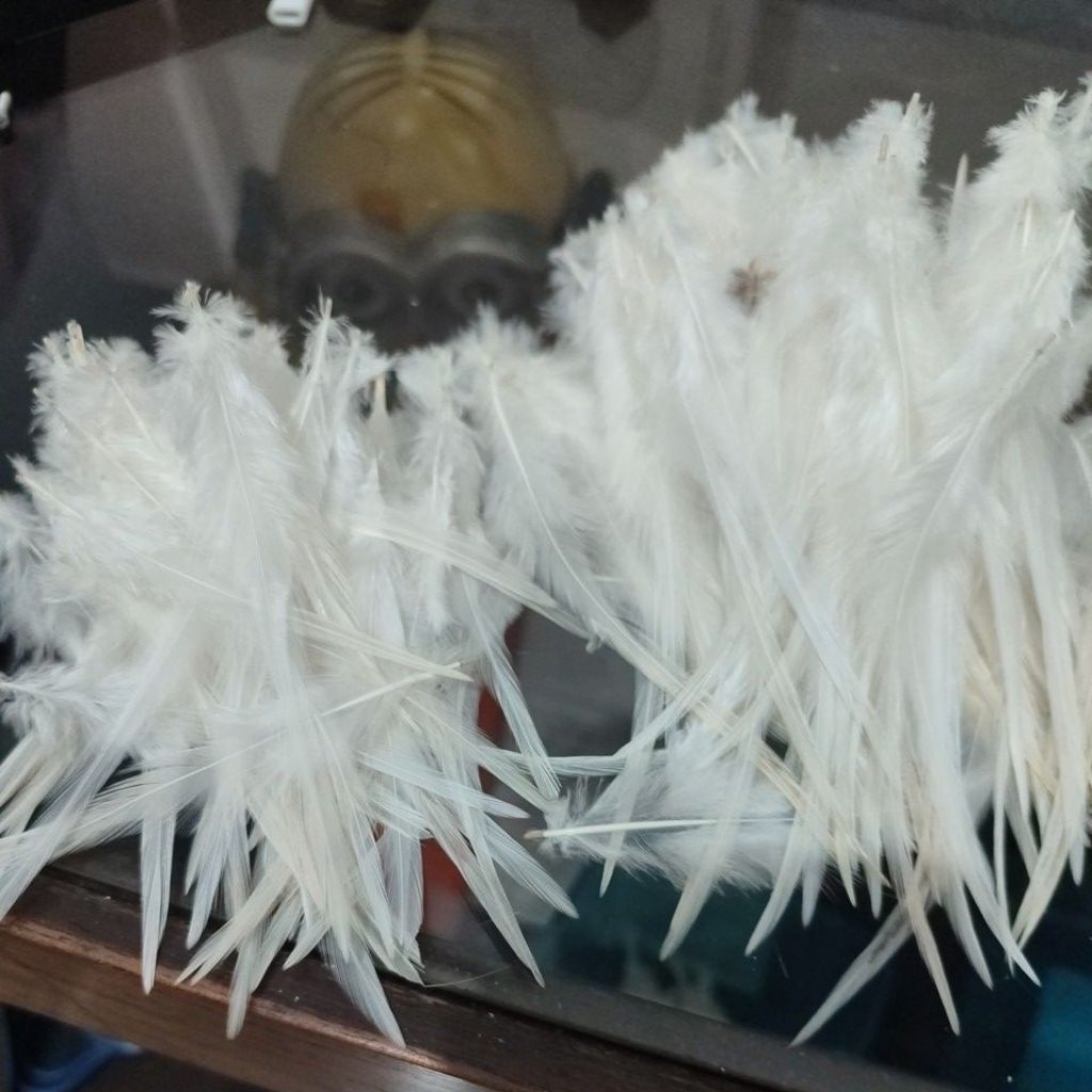 bulu ekor ayam/umpan rawe/sabiki