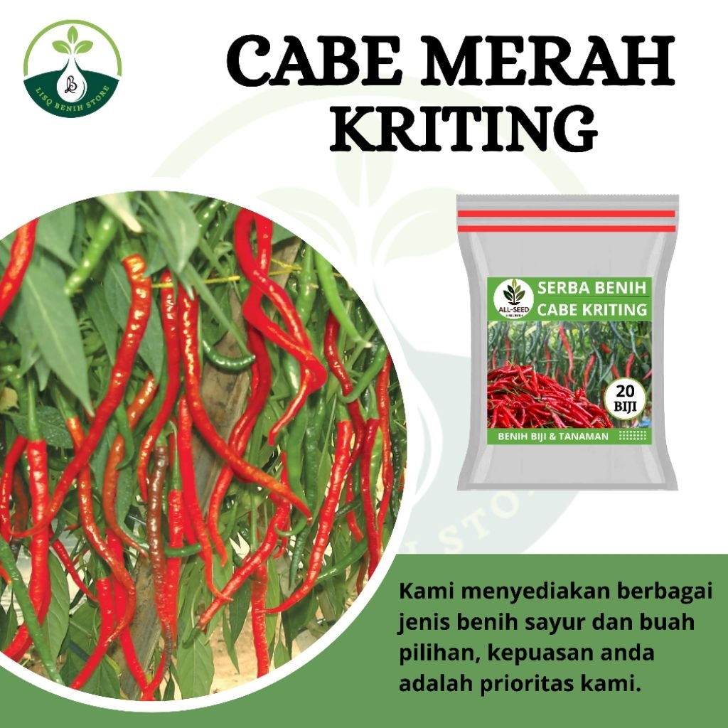 { 20 BIJI } Benih cabe merah kriting / bibit cabe / cabe merah kriting