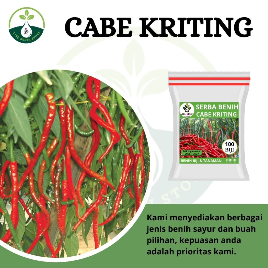 { 100 BIJI } Benih cabe merah kriting / bibit cabe / cabe merah kriting