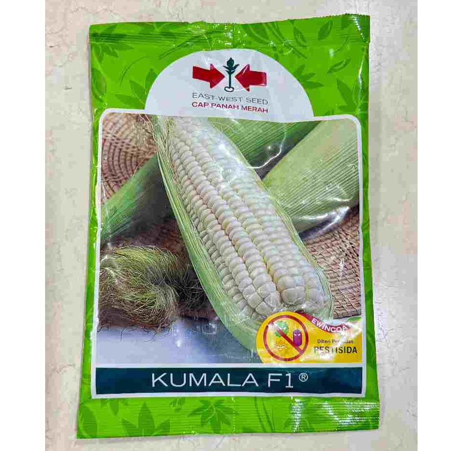 Bibit Benih Jagung Pulut KUMALA F1 1750 Butir