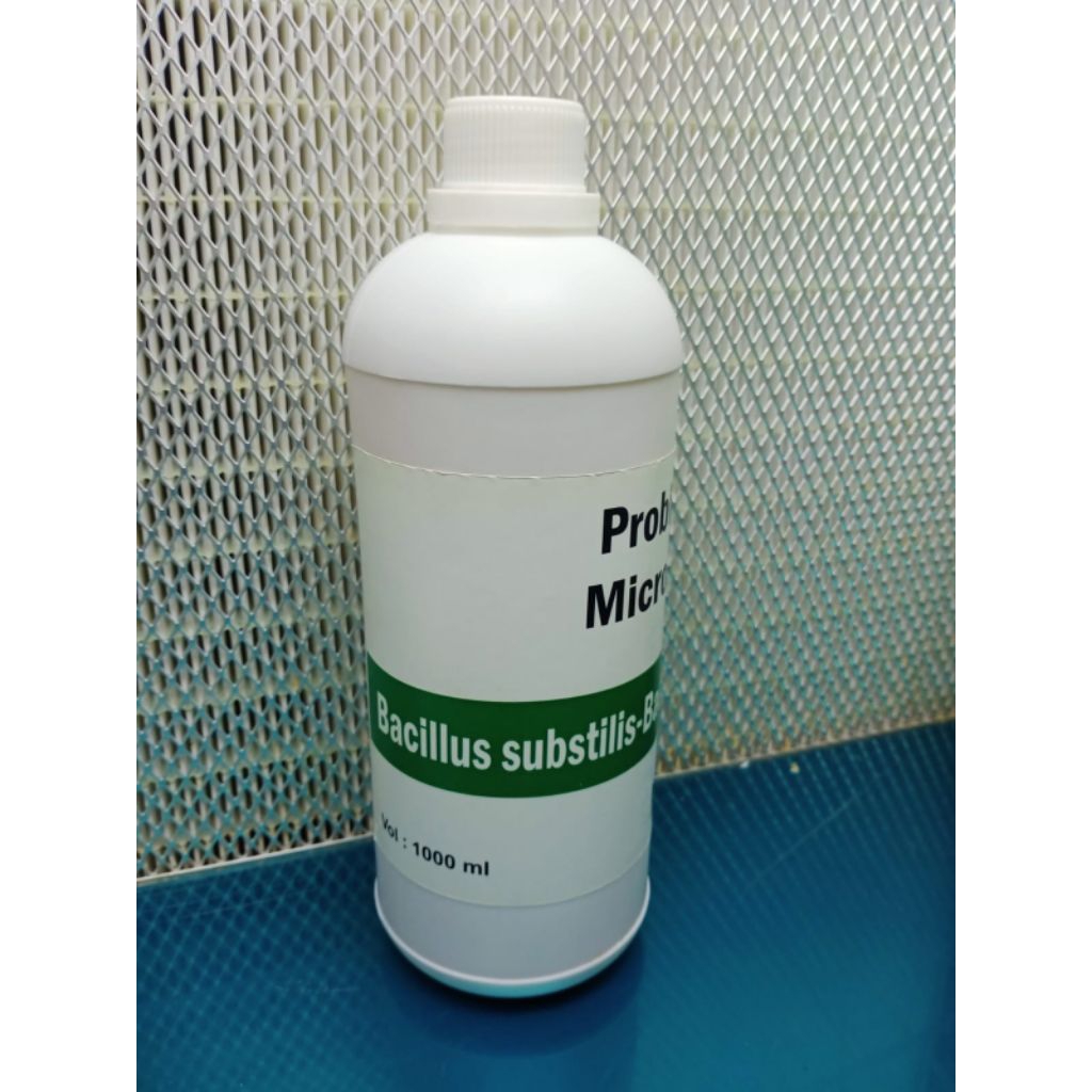 Bacillus subtilis