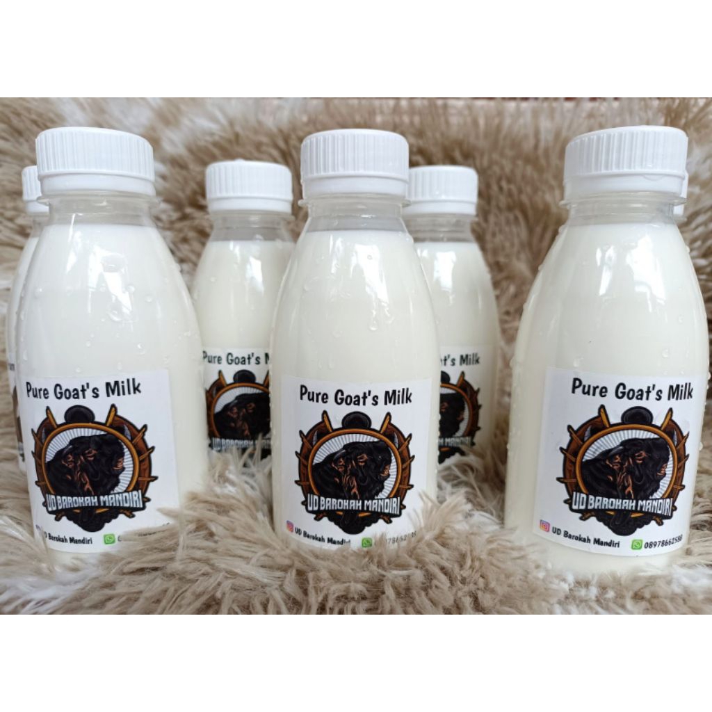susu kambing murni