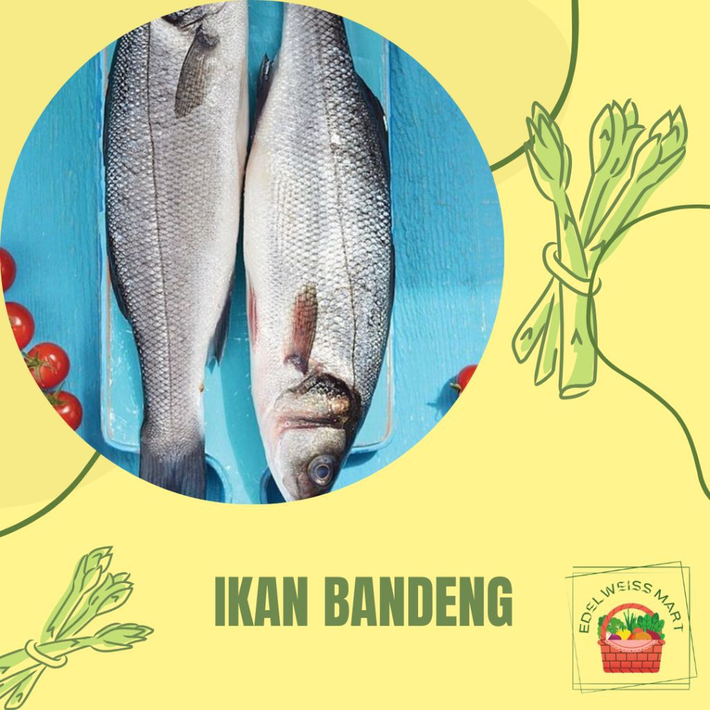 IKAN BANDENG +-500gram(FRESH) INSTANT SEMARANG