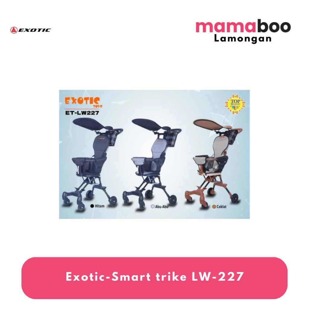 Exotic-Smart trike LW-227