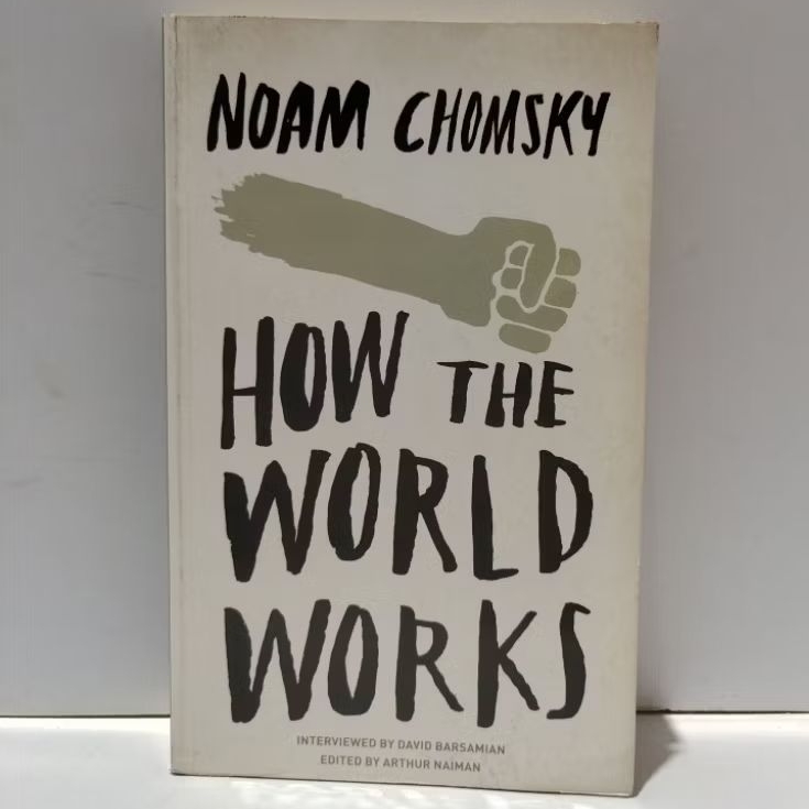 NOAM CHOMSKY HOW THE WORLD WORKS
