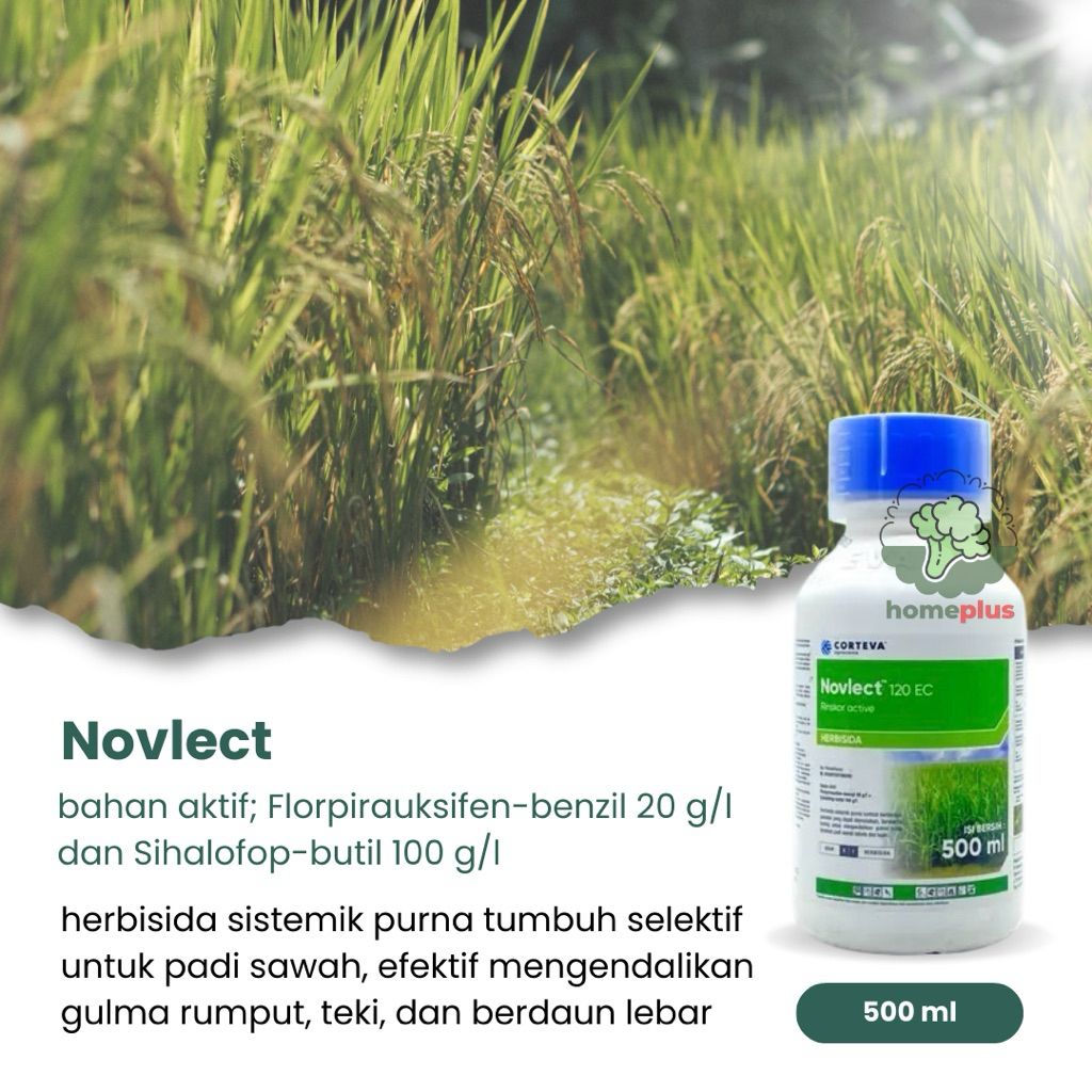 Herbisida Novlect Herbisida Selektif Pada Tanaman Padi