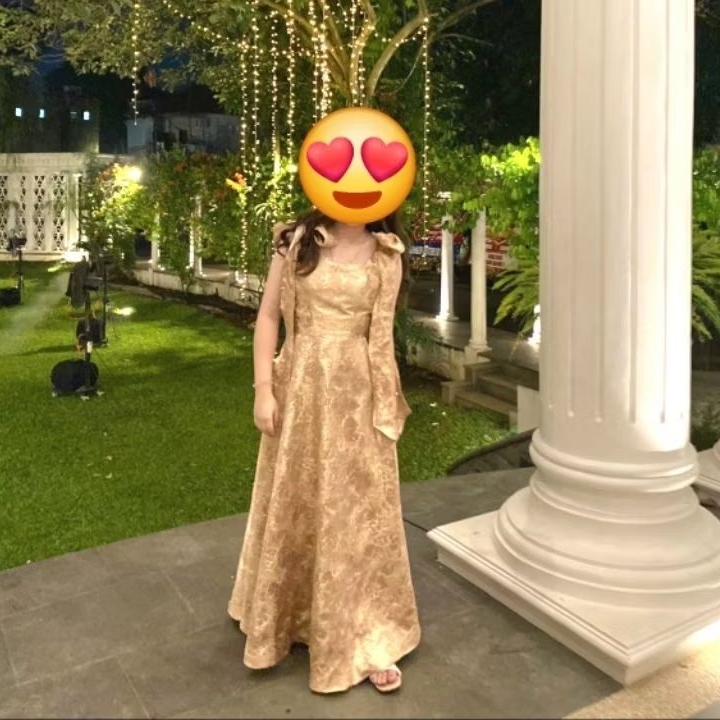Party Long Dress Sleveeles Premium Preloved
