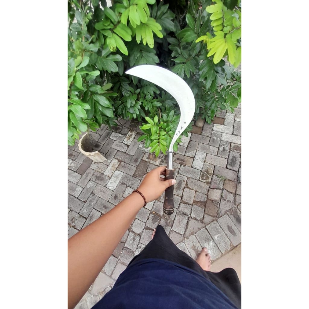 alat pertanian bintang 9ss asli Madura bahan baja per