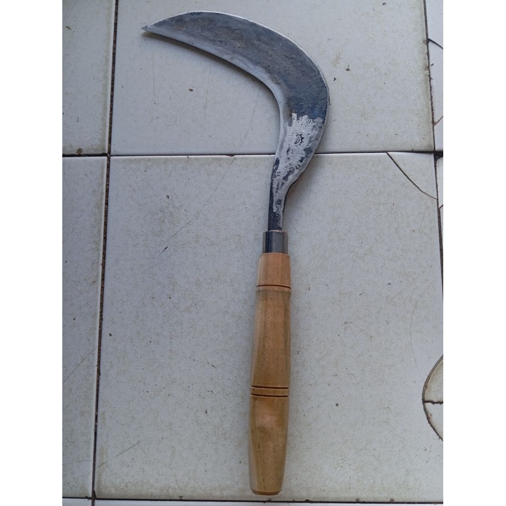 Sabit / Arit Baja Per Cap Mata 2