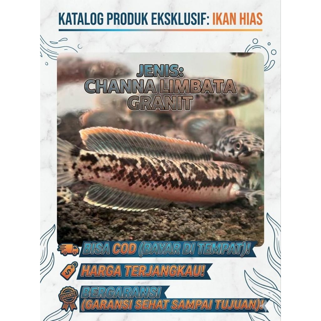 limbata granite 4-5-7cm istimeWAH