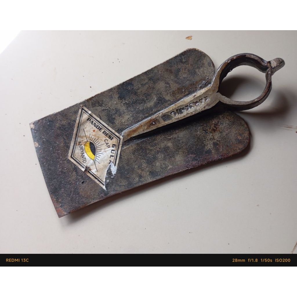 PACUL SEDANG,PACUL TANAH BERKEBUN