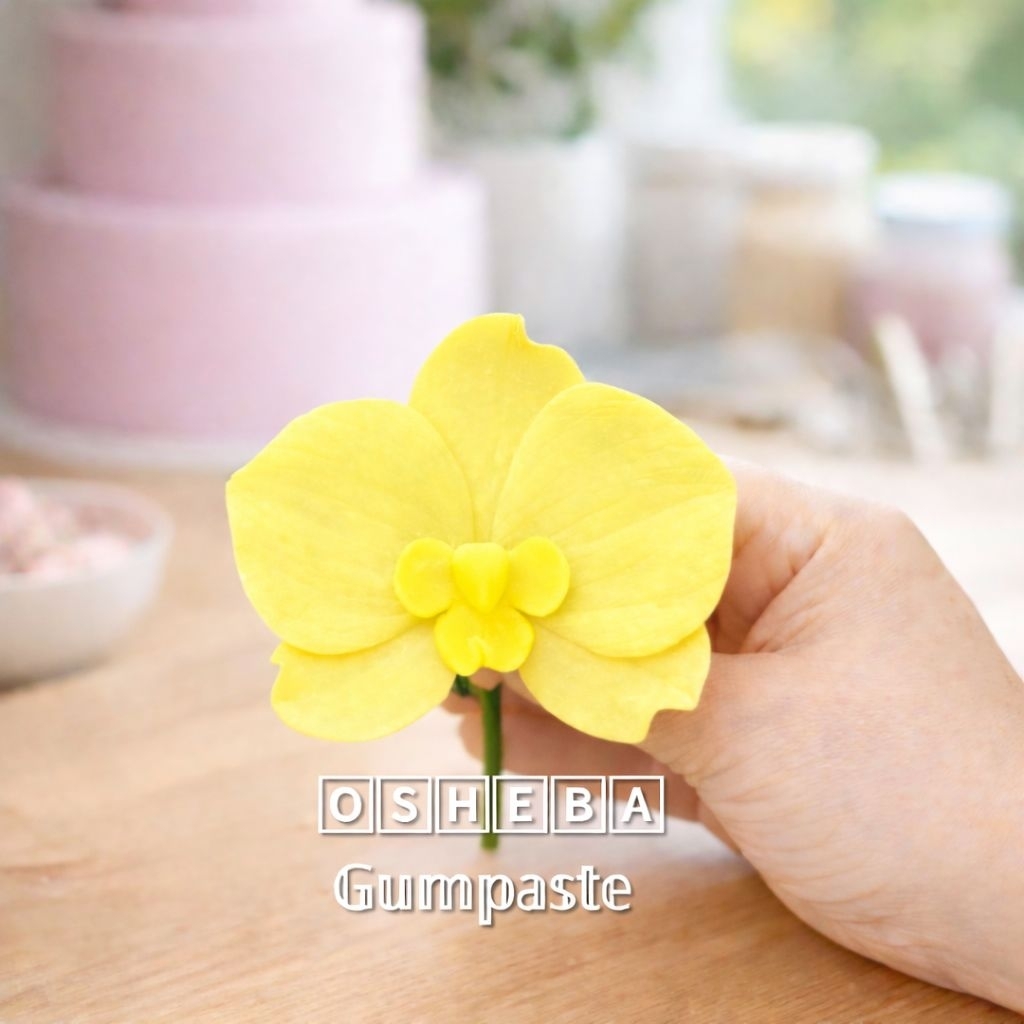 [osheba] gumpaste bunga bs anggrek bulan MOTH -11 warna kuning