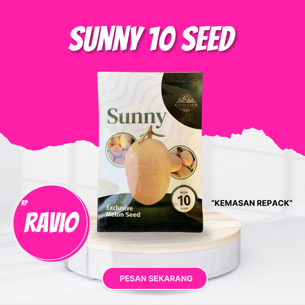 BENIH MELON SUNNY 10 SEED RAVIO SEED
