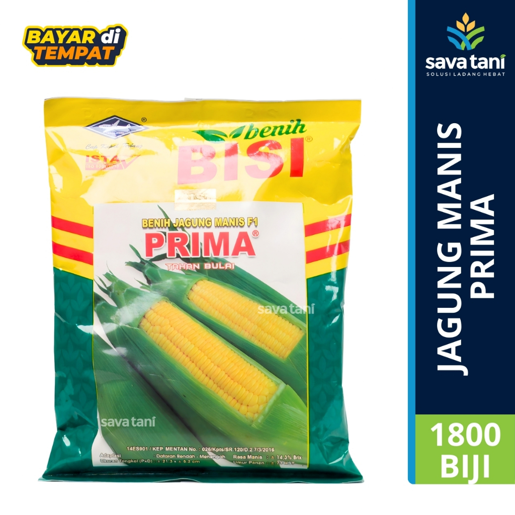 BENIH JAGUNG MANIS PRIMA ISI 1800 BIJI - BISI