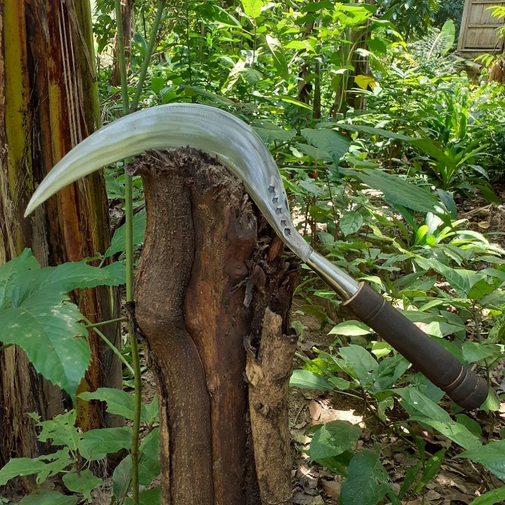 sabit rumput super tajam model bulan sabit bahan baja pir asli