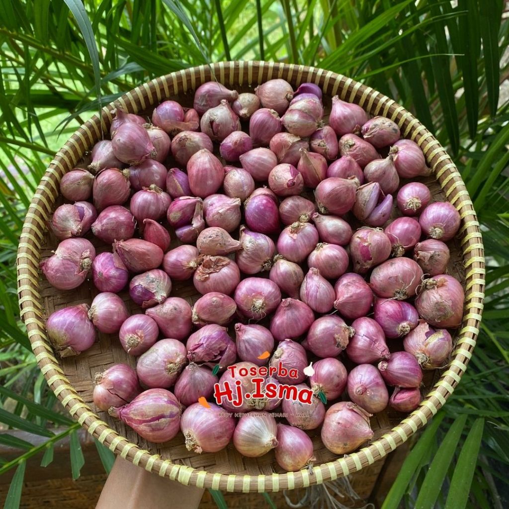 Bawang Merah Murah 1 Kg Jawa Timur