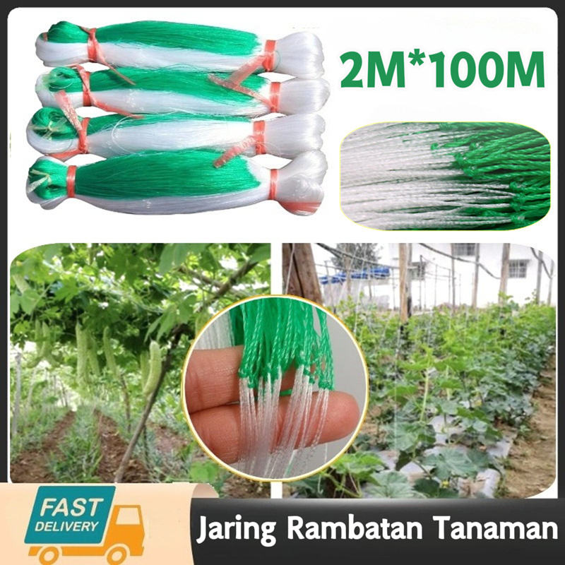 Jaring Rambatan Tanaman 2M x 100M – Green Trellis Net untuk Berkebun, Farm & Anggur / COD
