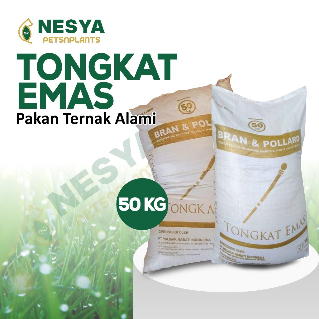Pollard 50 kg Tongkat Emas Kemasan 50kg Polar Pakan Sapi / Polar Pakan Ternak
